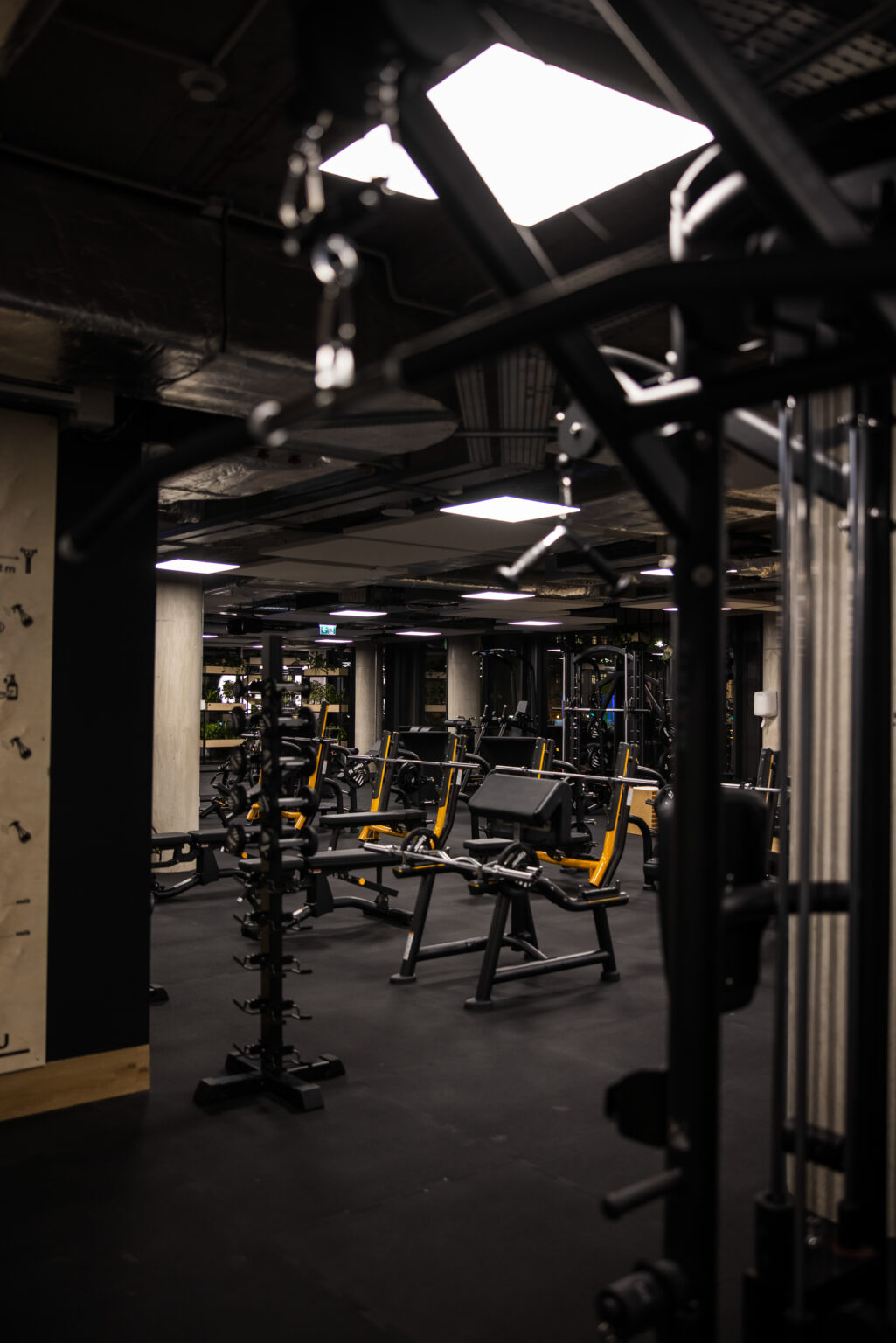 Siłownia Wrocław | UP WROCŁAW INFINITY