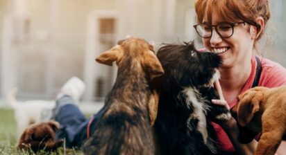  Dlaczego Nawiązaliśmy Współpracę ze Schroniskiem: Misja i Wartości