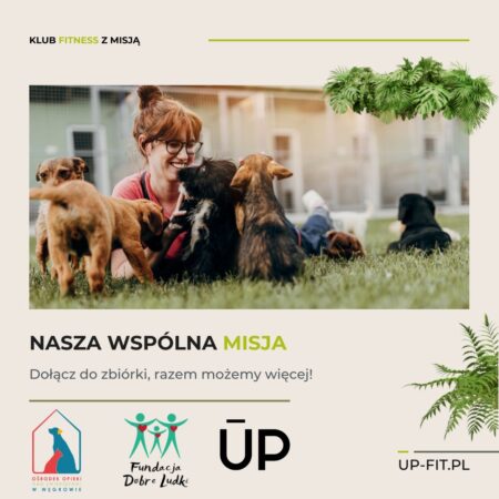 Dlaczego Nawiązaliśmy Współpracę ze Schroniskiem: Misja i Wartości